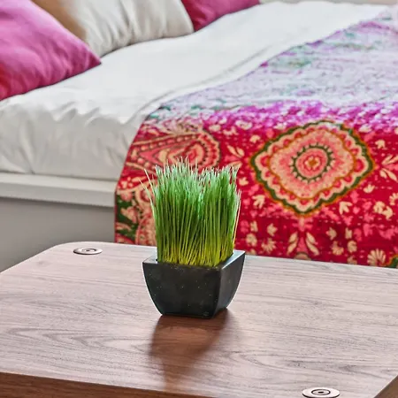 Sweett - Maison Blanche Apartment Juan-les-Pins