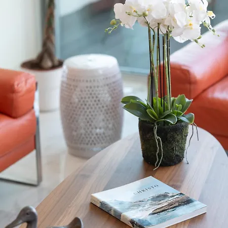 Apartment Sweet - Maison Blanche